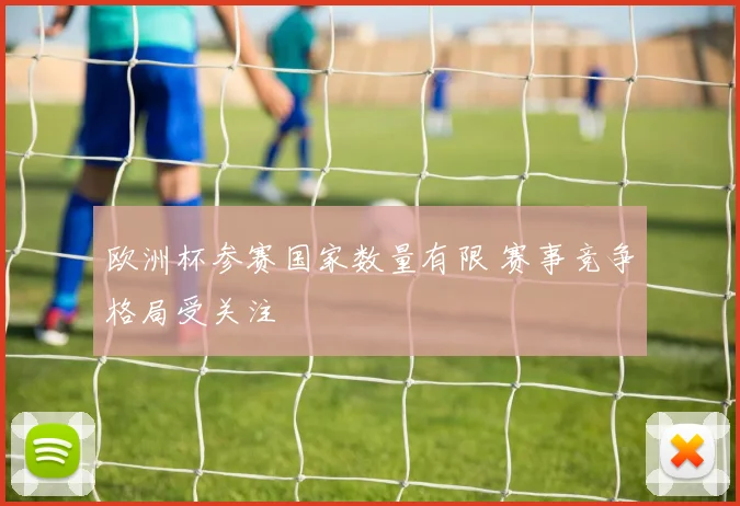 欧洲杯参赛国家数量有限 赛事竞争格局受关注