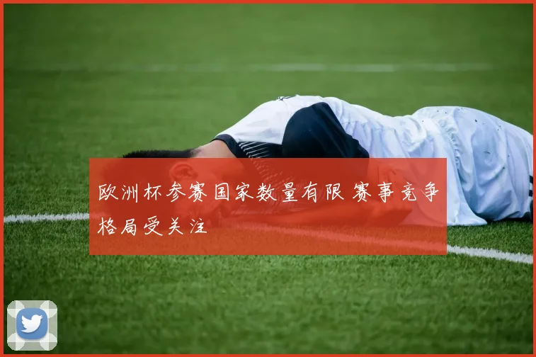 欧洲杯参赛国家数量有限 赛事竞争格局受关注