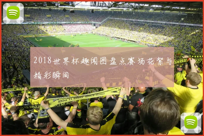 2018世界杯趣闻图盘点赛场花絮与精彩瞬间