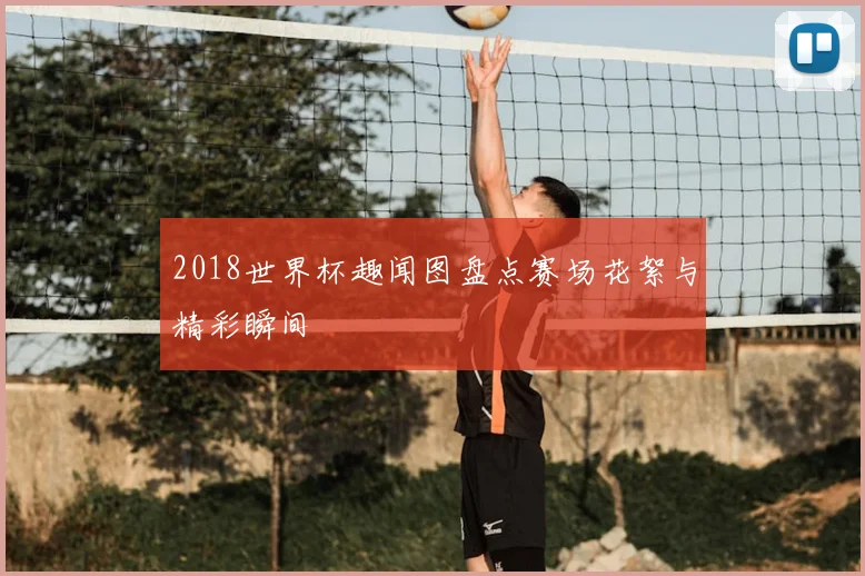 2018世界杯趣闻图盘点赛场花絮与精彩瞬间