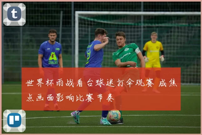 世界杯雨战看台球迷打伞观赛 成焦点画面影响比赛节奏