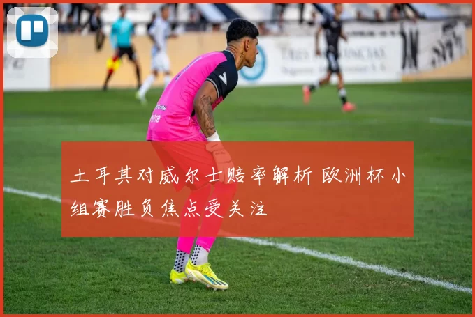 土耳其对威尔士赔率解析 欧洲杯小组赛胜负焦点受关注