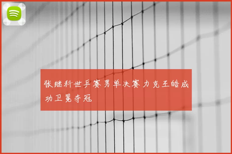 张继科世乒赛男单决赛力克王皓成功卫冕夺冠
