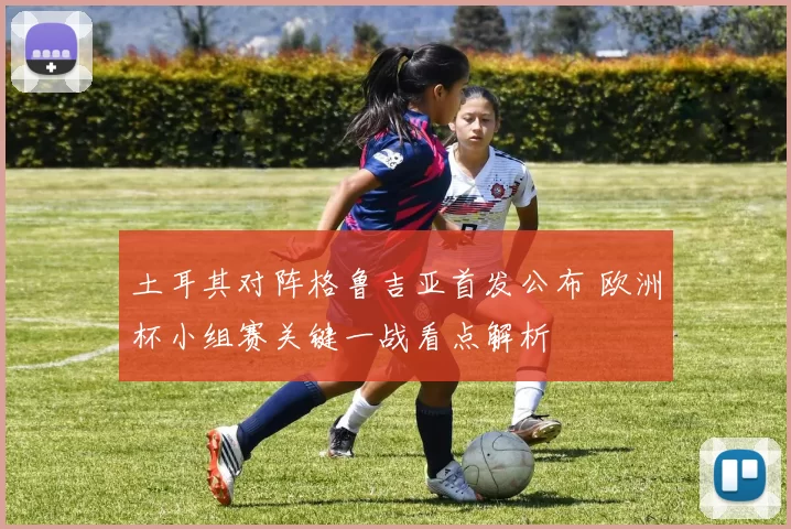 土耳其对阵格鲁吉亚首发公布 欧洲杯小组赛关键一战看点解析