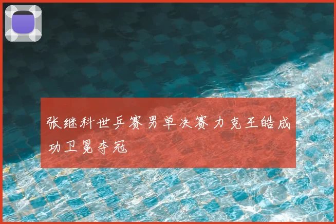 张继科世乒赛男单决赛力克王皓成功卫冕夺冠